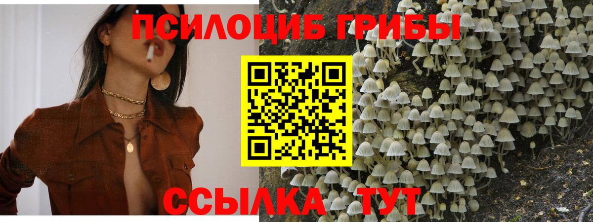 Псилоцибиновые грибы MAGIC MUSHROOMS  Вход с VPN  Альметьевск 
